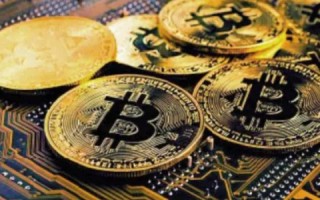 SOL币2025年能涨到多少sol币值得长期持有吗