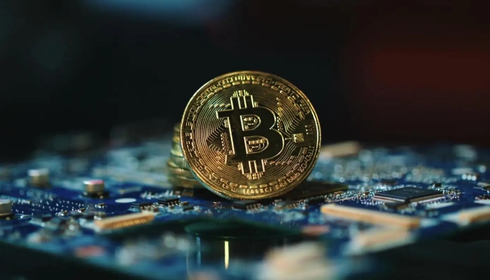 bonk币是什么币 bonk币能否成为千倍长持币-第3张图片-欧意下载