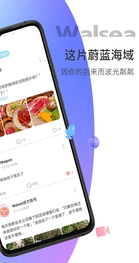 walsea下载-walsea女性社交平台安卓版最新免费下载v1.2.0